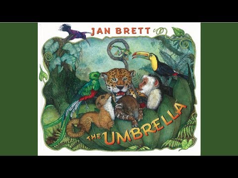 The Umbrella by Jan Brett