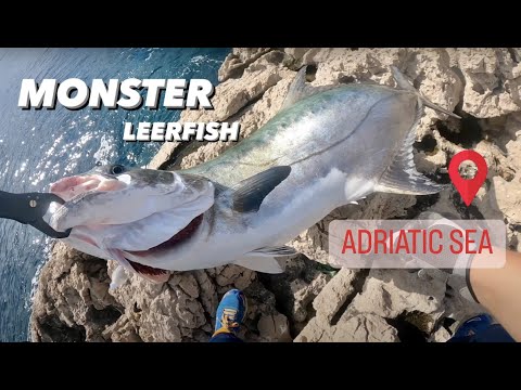 TFC: The Adriatic Adventures Part 2 - The GIANT Leerfish -