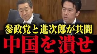 ※中国を抑えろ！参政党議員と小泉防衛大臣が共闘！友好国と中国包囲網構築へ【小泉進次郎 防衛 軍事 高市早苗】