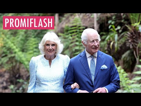 Königin Camilla ist besorgt um Charles' Gesundheitszustand