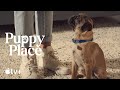 Puppy Place — Pugsley the Pug | Apple TV+