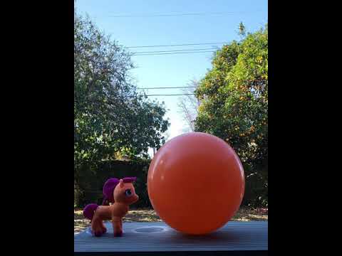Sunny Starscout with giant orange balloon inflation. Hyperlapse 5x.