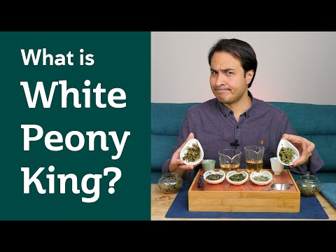 WHITE TEA PICKING STYLES - What is White Peony King?