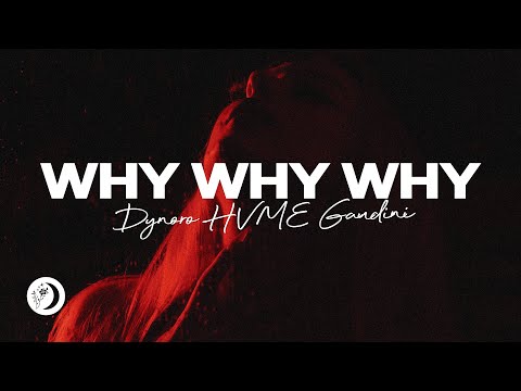 Dynoro, HVME, Gaudini - Why Why Why