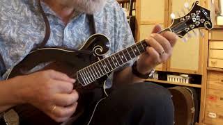 Katzenhai Blues - Mandoline