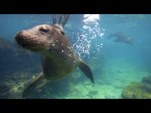 Casa Marina Galapagos.