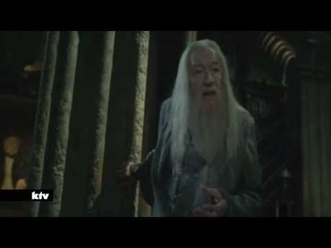 Der (für mich) Traurigste Moment in Harry Potter und die Heiligtümer des Todes Teil 2