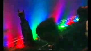 Cadaveres de Tortugas - Pintar de Verde