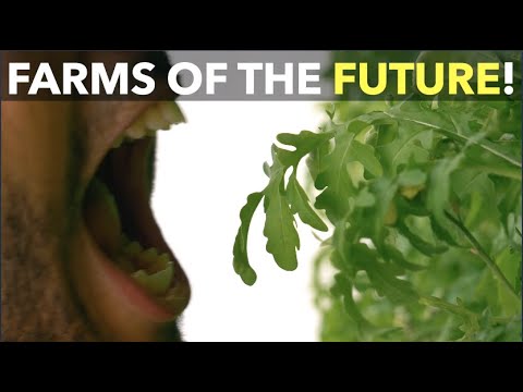Farm Of The Future!
