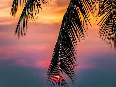 JIZZ O.M.G. - 'TIL I DIE (RICK ROSS RMX)