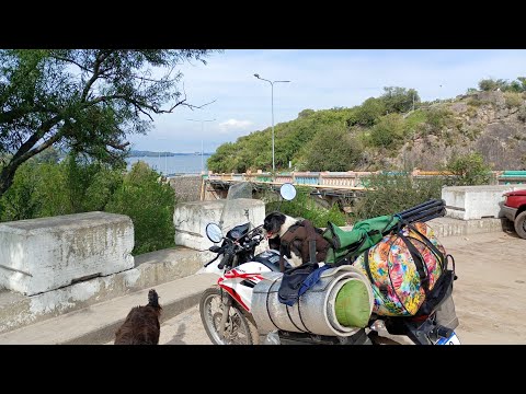 PRIMER VIDEO! Viaje con mi perrita Pandillera. 500km de Anisacate, Córdoba - Gral. Pico, La Pampa.