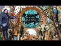 Pairi Daiza Most Beautiful Zoo A Complete Overview Of The Zoo 2024 Pairidaiza