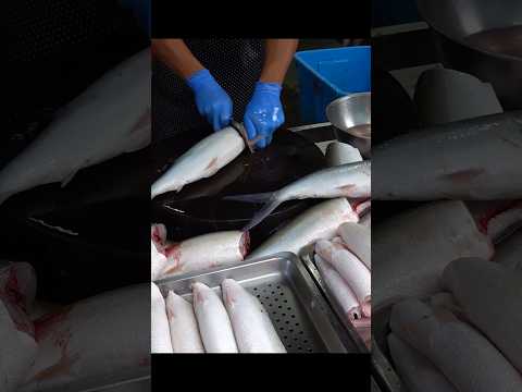 Most Satisfying Milkfish Cutting Skills in Taiwan!