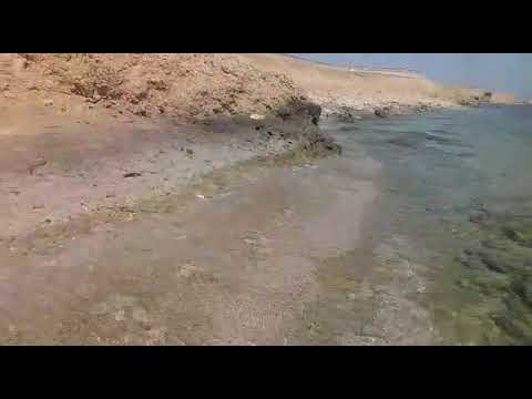 AlWajh Beach 🇸🇦 | Travel to Jordan 🇯🇴