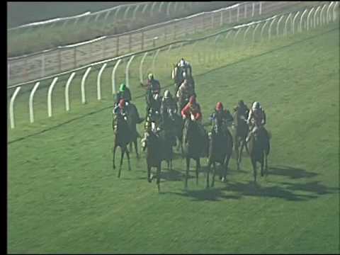 Galoppo 18/02/2017 - 6ª corsa - TRIS