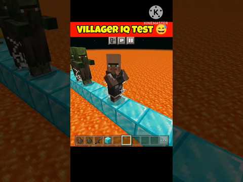 Unbelievable Villager IQ Test Results! 😱 #minecraft