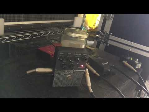 Tech21 Sansamp Leeds Pt.1