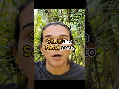 #tupi #tupiantigo #portuguesebrazilian #jaguar #ibiuna #grayflower #guarani #etymology #languages