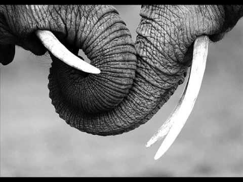 Gabe and Marcello V.O.R. - You and me