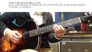 Video thumbnail for THE LOAR LH-301T with FENDER TWIN REVERB Jazz Guitar by SRS GUITAR