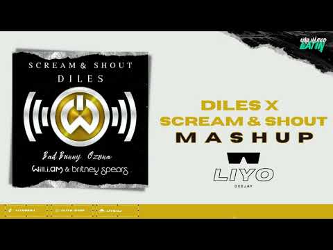SCREAM & SHOUT x DILES - Will I Am, Britney Spears, Bad Bunny, Ozuna (LIYO Mashup)
