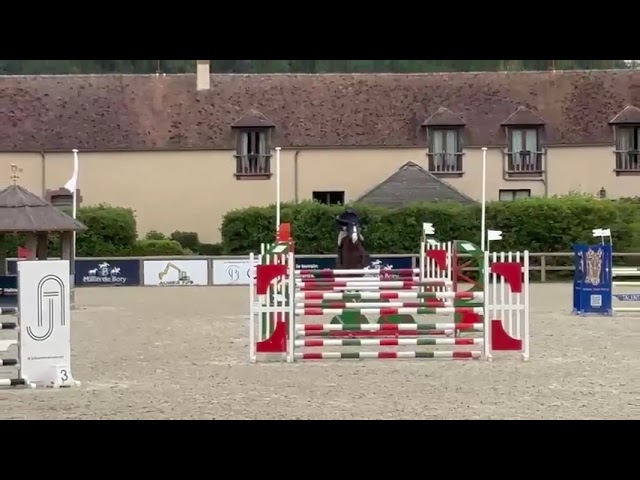 Jument 5 ans gros potentiel 