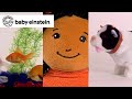 Language Nursery Compilation Baby Einstein Classics Learning Show For Toddlers Kids Music