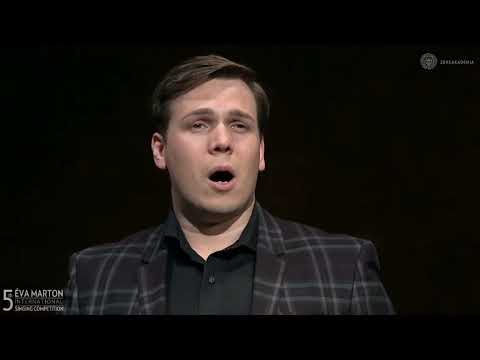 Andrei Danilov - Pace non trovo (Liszt)