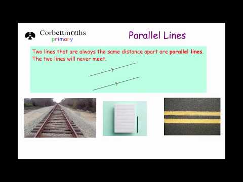 Parallel And Perpendicular Lines Primary
