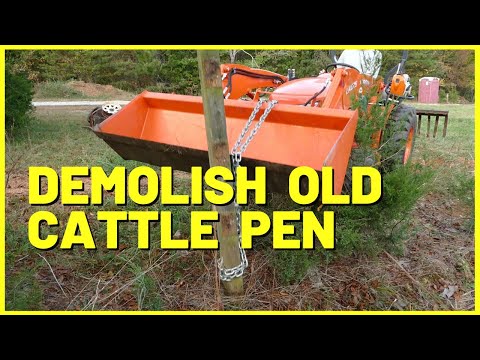 #198 Thankful For The Tractor - Taking Down Old Cattle Pen