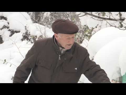 Boja meda ep. 97 14.01.2020. NAJAVA