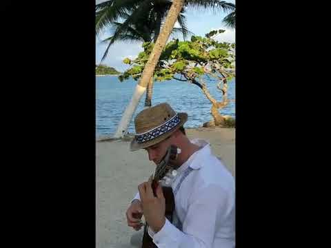 Paco Machado  - Blue Venado - Tulum México - Wedding Ceremony - (LIVE video)