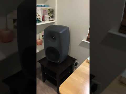 Genelec8260a-Ymishtal