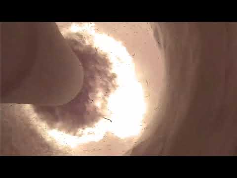 Vídeo Biomassa