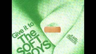 The Soft Boys - Wading Through a Ventilator