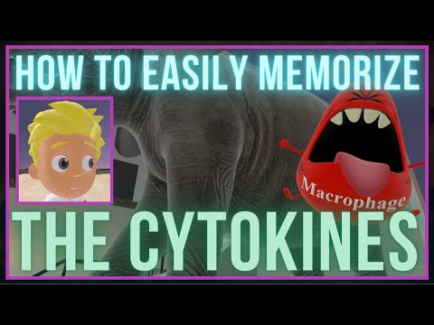 How to EASILY Memorize the Cytokines!