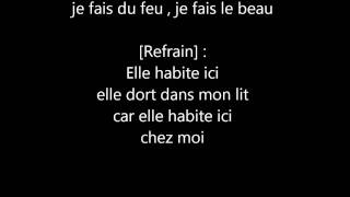 Gérald De Palmas - Elle Habite Ici (lyrics)