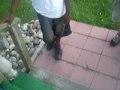 101 9106 Mov