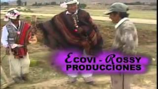 Video thumbnail of "TIBURCIO VILLCA OVEJITA"