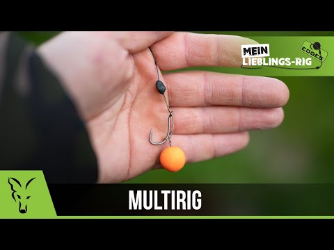 ***Karpfenangeln TV*** Mein Lieblings-Rig - Multirig