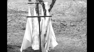 bonnie prince billy / the eagle and the hawk