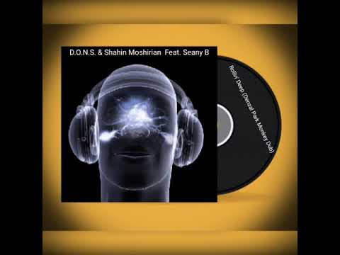 D.O.N.S. & Shahin Moshirian Feat. Seany B - Rollin' Deep (Denzal Park Monkey Dub)
