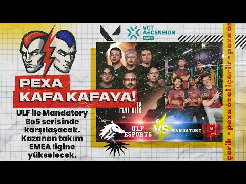 VCT 2025: EMEA Ascension ULF vs MANDATORY | PEXA H2H