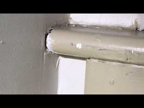 DIY Ant Treatment Goes Wrong in Red Bank, BJ