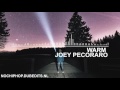 [No Copyright ChillHop] Warm - Joey Pecoraro