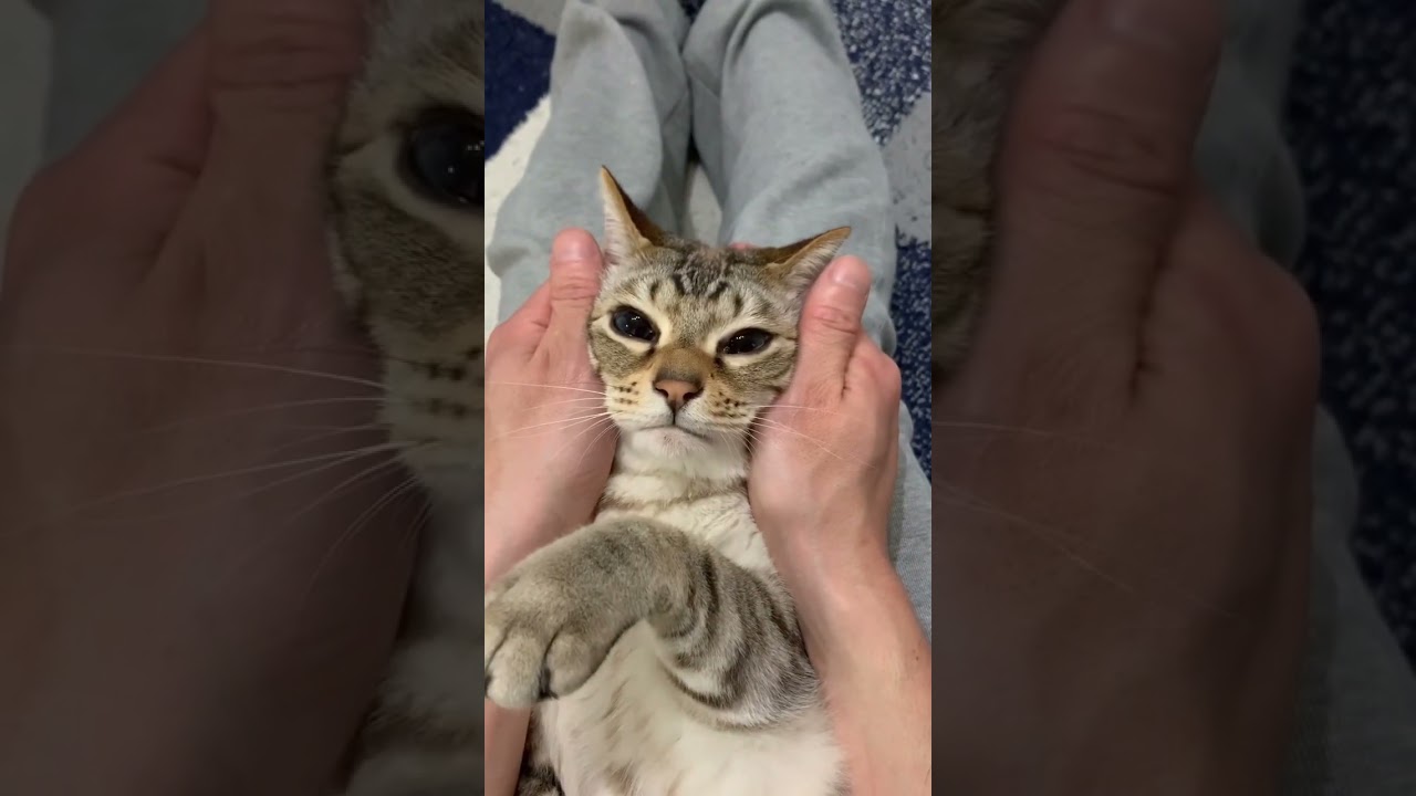 ついついやってしまう。。