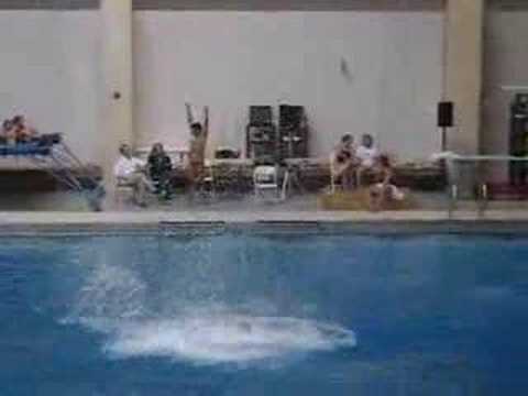 Hoosierland Open, Day 3 - platform diving
