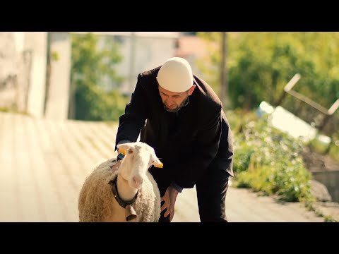 KURBANI BIBES PER KURBAN BAJRAM/Ferma Esnafi