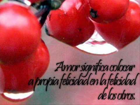 mi universo eres tu- emiro grupo pentagono.wmv