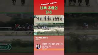 최은경은 뭐다? | 내측추입의 진수!!! | 복승 698배!!! | 꼴찌의 한방!#경마 #경마예상 #shorts #최은경 #추입 #코리아레이스 #마패경마